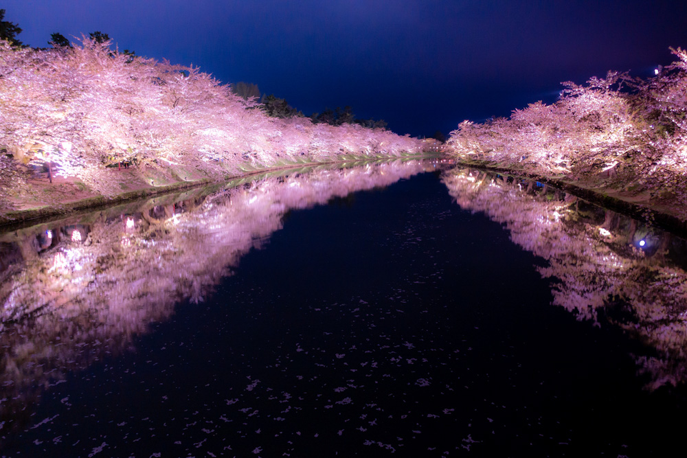 Hirosaki Park (spring)